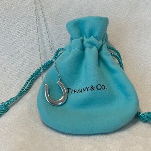 Tiffany Sterling Silver Horseshoe Necklace